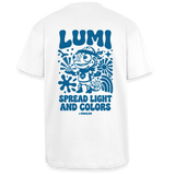 Experiment Box Lumi