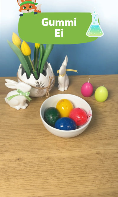 🥚 Gummi Ei: Experiment für Kinder