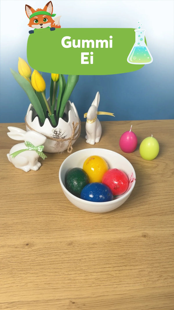 🥚 Gummi Ei: Experiment für Kinder