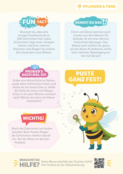 Anleitung Vorschau Seite 2