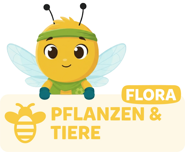 Modolino-Charakter Flora die Biene begleitet Kinder bei Experimenten zu Pflanzen und Tieren.