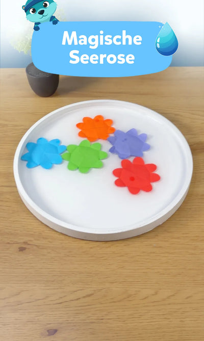 🌸 Magische Seerose: Das verblüffende Experiment für Kinder