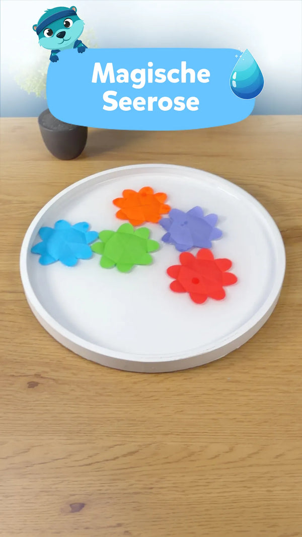 🌸 Magische Seerose: Das verblüffende Experiment für Kinder