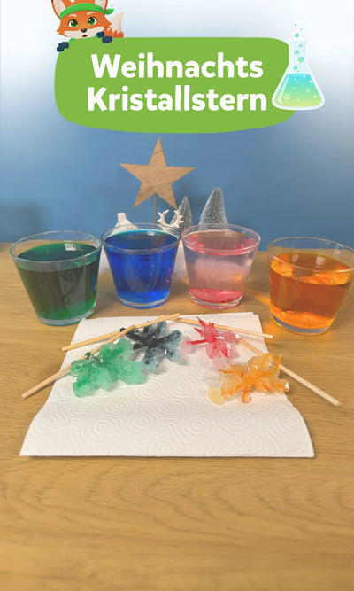 ✨ Weihnachtskristallstern: Experiment für Kinder
