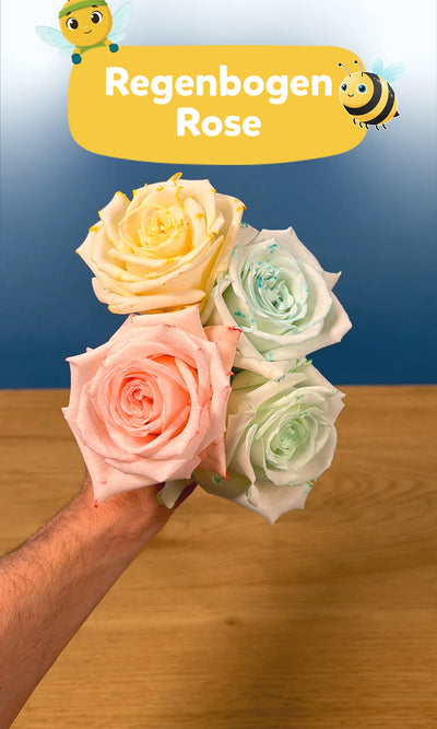 🌈 Regenbogen Rosen: Spannendes Experiment für Kinder