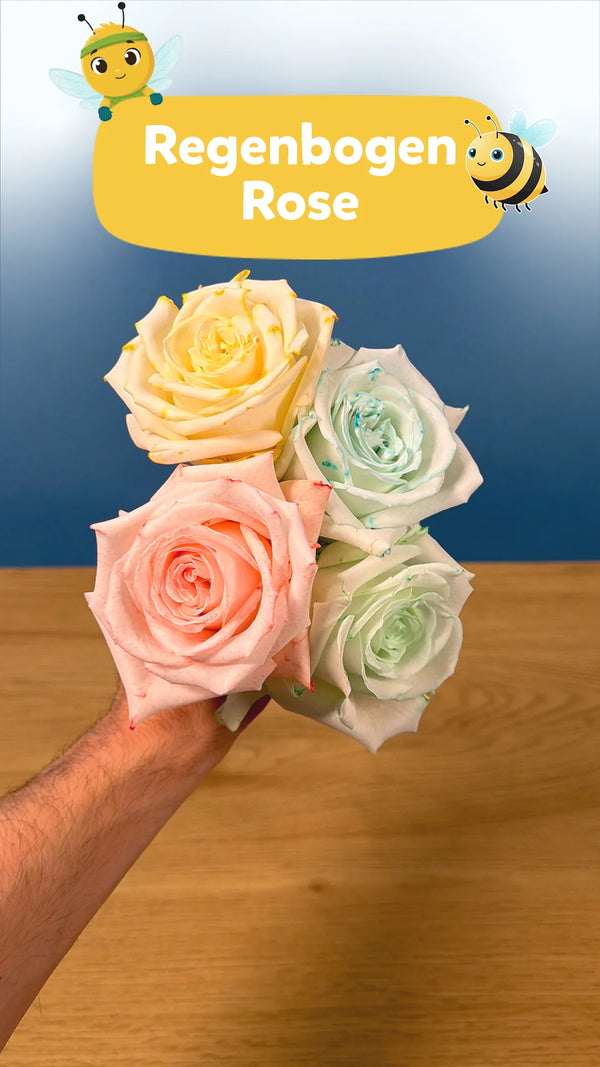 🌈 Regenbogen Rosen: Spannendes Experiment für Kinder