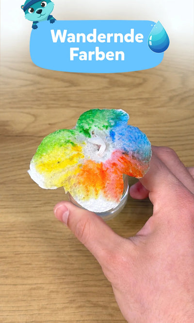 🌈 Wandernde Farben: Spannendes Wasser Experiment für Kinder